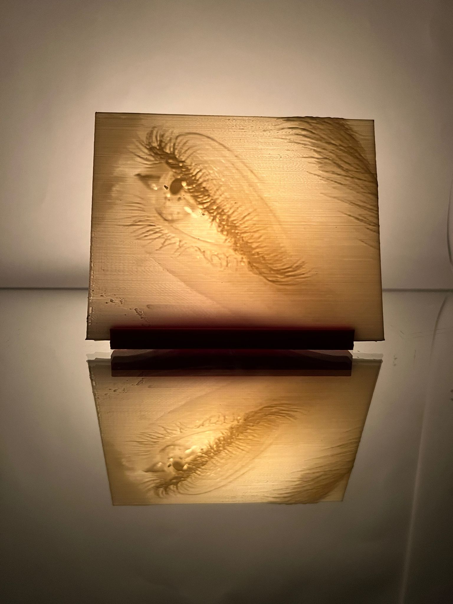 WhatsApp Image 2023-02-21 at 02.20.21 (1)